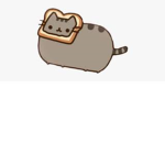 Bailey BDodge Pusheen