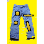 the lemon pants fan group