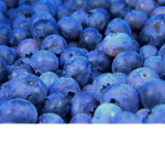 The cheese berry’s!
