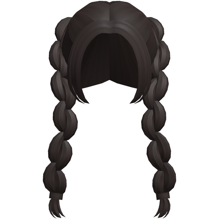 dark brown adorable picnic braids