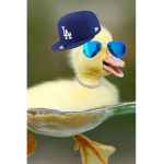 DuckPLayz fan group and bedwars clan