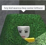 crappy roblox development group