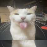 GGRRRRRR