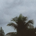 ~ RAINY WEEKS ~