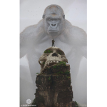 Monke Worshipers