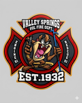 Valley Springs VOL Fire Dept, MD