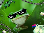 Frog_crew