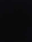 제시의 로블록스 그룹!