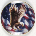 Soaring Eagles