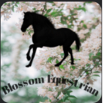 Blossom riding academy!