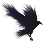 Nest of crows