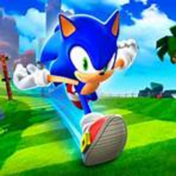 sonic speed simulator but it was ordered off temu