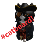 captain catbread group!