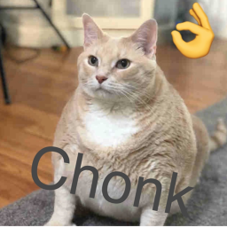 dumb memes and stuff hang out
