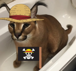 THE STRAWHAT FLOPPAS