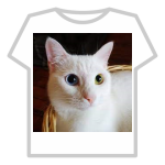 kitty WOW