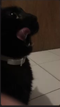 Para todos son hermosos UwU