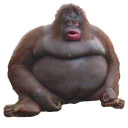 hail to monke