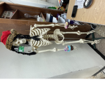 Nickys robux