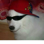 grissel_123334 :v
