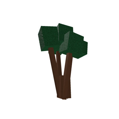Swamp tree 3