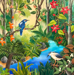 +~ the rainforest ~+