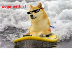 doge war