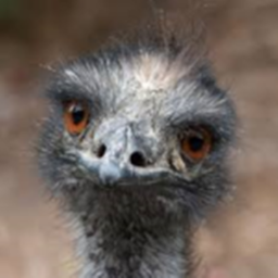 Emu Castle