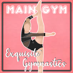 Exquisite gymnastics | Main Gym 2