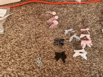 aris kitten wittens