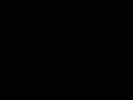 Axospecies