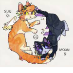 •ItsSunxMoon•