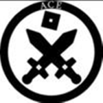 A.C.E organization