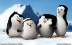Hairless Penguin Squad