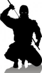 N.A.T (Ninja Assalt Team)