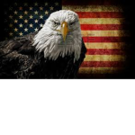 _United States of America_