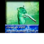 RATS WITH RABIES
