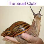 The Snail Gang