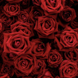 𝚊𝚙𝚊𝚛𝚝🥀