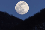 Mr_Moon
