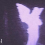 fall3n_angelss