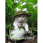 Otaku Indonesian Club