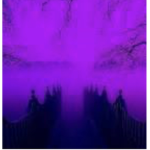 -night’s club-