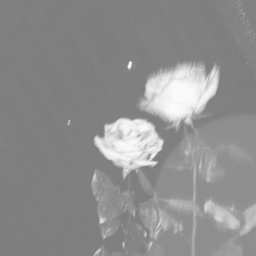 ʚɞ