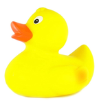 the ducks clothing
