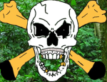 SARU-RS