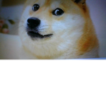 the epic doge every epic totally