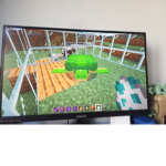 Turtle squad clan