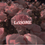 VISONARY L1SSOME