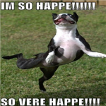 :S i liek 2 derp it  i liek 2 derp it derp it